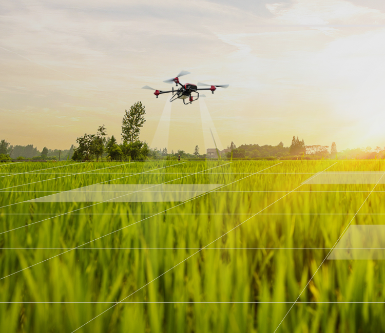 服務其他/新農人