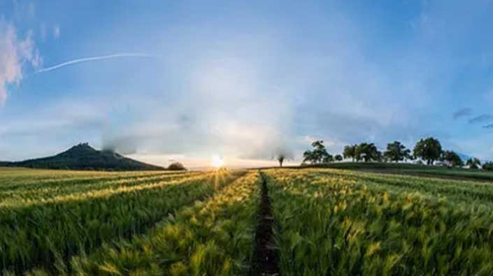 托普云農(nóng)企業(yè)宣傳片