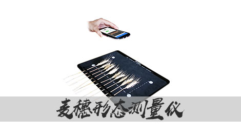 【托普云農(nóng)】麥穗形態(tài)測(cè)量?jī)x