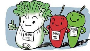 標準化生產＋專業化監管 山東打出組合拳，保障農產品質量安全