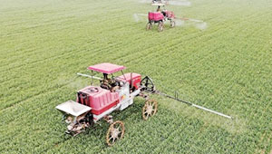 達拉特旗：加強病蟲害監測預警，為農業發展保駕護航