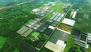 甘肅力爭5年打造10個百億元級現(xiàn)代農業(yè)產(chǎn)業(yè)園