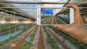 實施6項工程 河北農業(yè)產(chǎn)業(yè)數(shù)字化進程提速