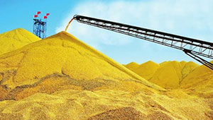 今年陜西糧食產量有望達二十年來最高