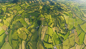  四川將開展全域土地綜合整治試點(diǎn)