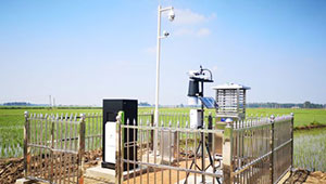 穩糧保產，智守農田 | 托普云農開燈巡檢行動打響“糧食保衛戰”