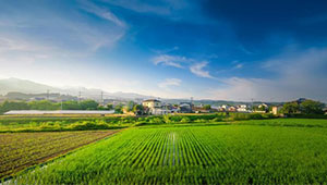 農(nóng)民日報專題報道 | 浙江念好鄉(xiāng)村振興“數(shù)字經(jīng)”