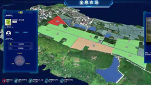 一串葡萄的“數(shù)字秘密”生長記，浦江超級農(nóng)場的數(shù)字秘密！