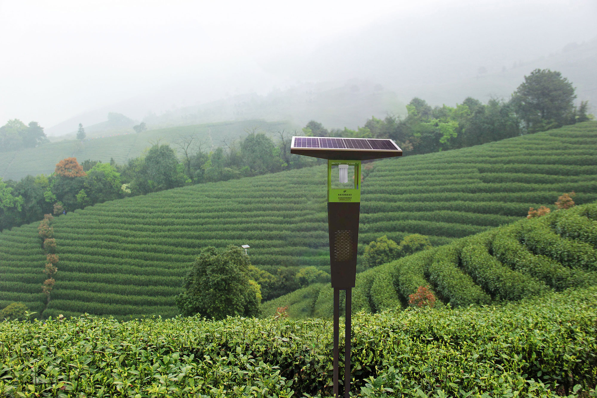 托普云農(nóng)榮獲2021年度江蘇省千村萬(wàn)戶百企農(nóng)藥減量增效行動(dòng)示范企業(yè)