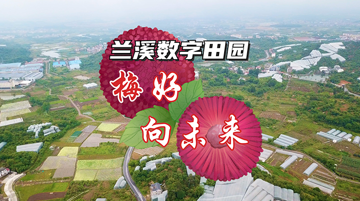 蘭溪數字田園——梅好，向未來！