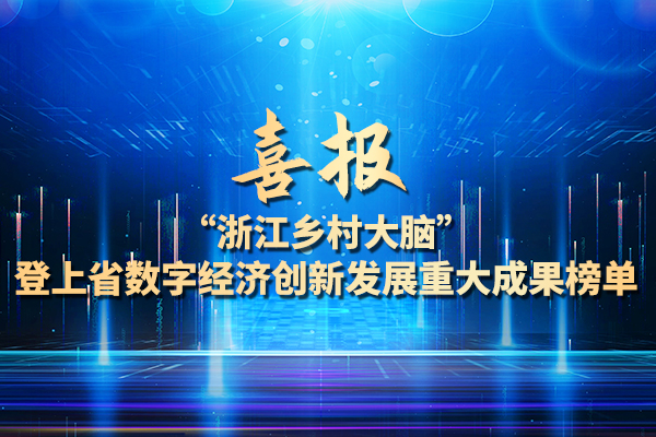 省數(shù)字經(jīng)濟(jì)創(chuàng)新發(fā)展重大成果榜單：浙江鄉(xiāng)村大腦入選