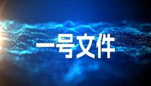 首提“農業新質生產力”，2025年中央一號文件在智慧農業領域傳遞了哪些重要信號？
