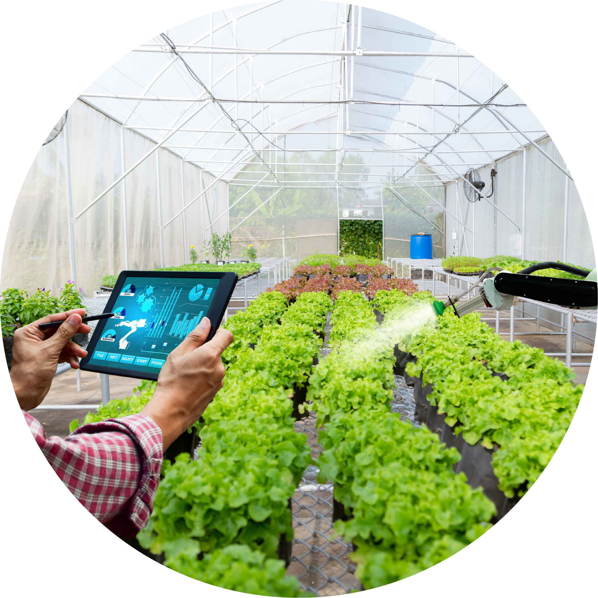 設施農業管理系統