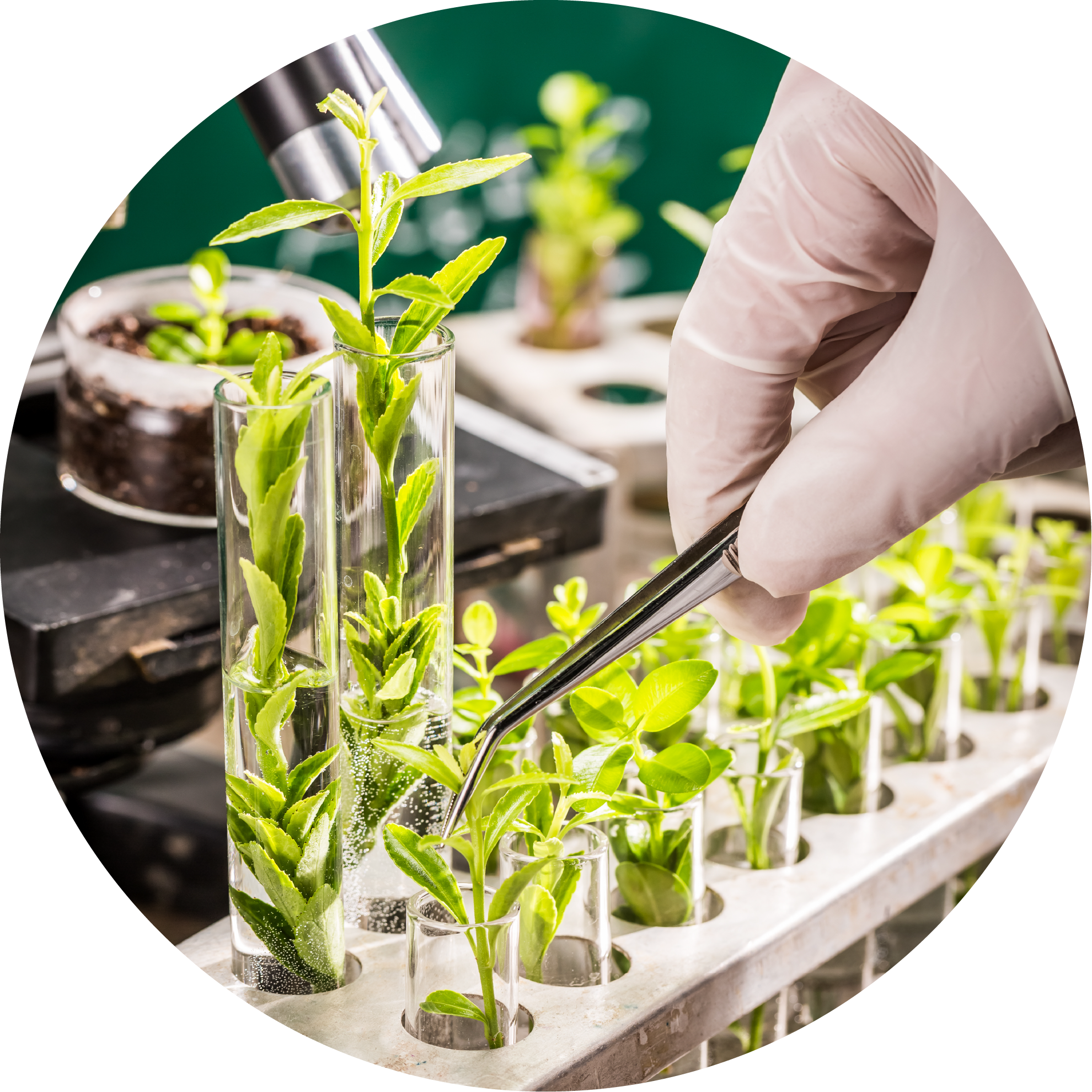 實驗室建設規劃