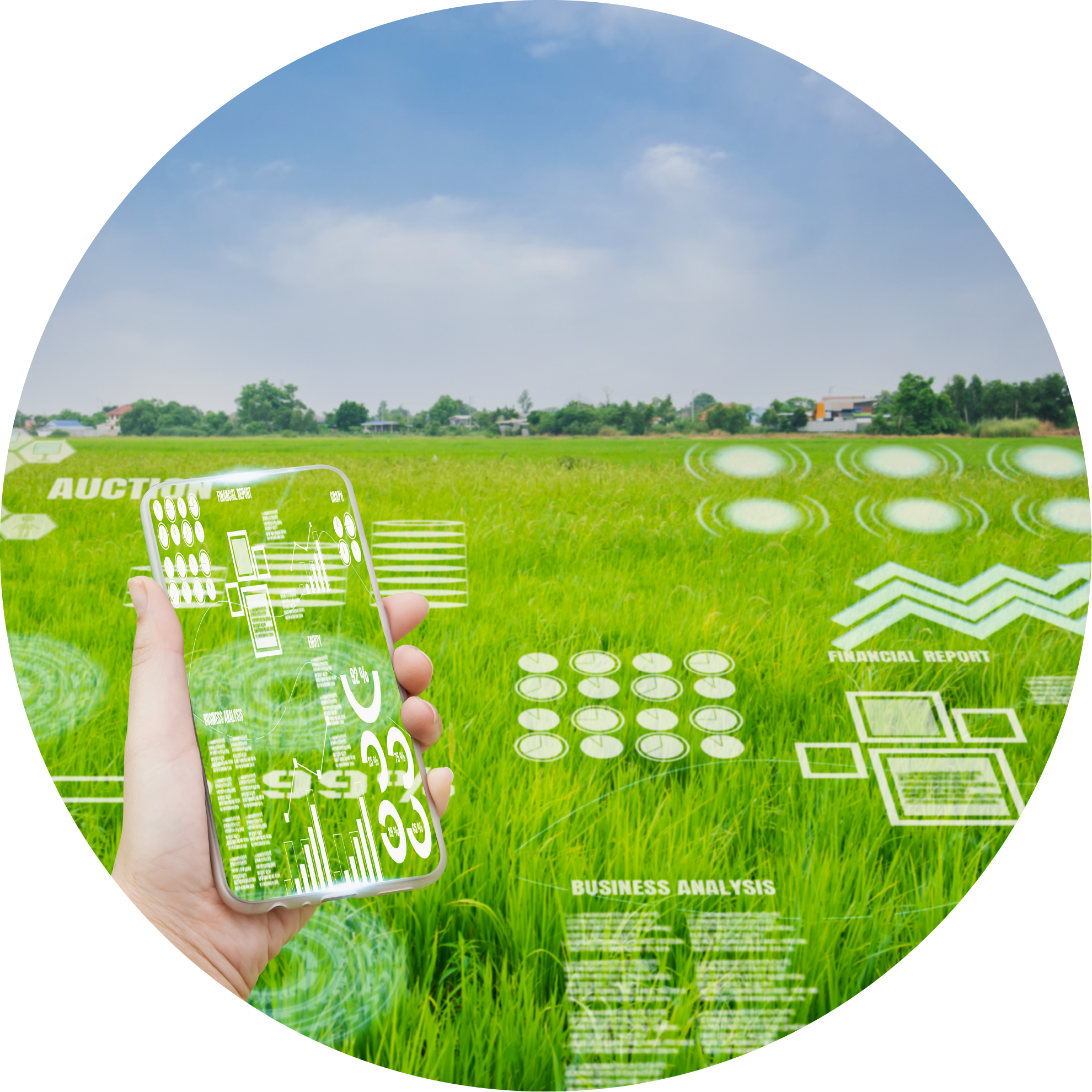 科研數據管理系統等