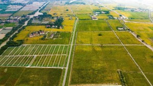 高標(biāo)案例丨托普云農(nóng)助力善璉鎮(zhèn)農(nóng)田“數(shù)智”升級(jí)