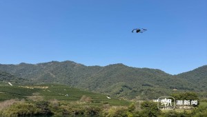 春茶開采正當(dāng)時(shí)！揭秘托普云農(nóng)如何用科技“制”出一杯數(shù)字好茶