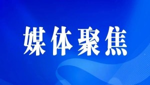 央視、人民網(wǎng)等權(quán)威媒體聚焦西湖龍井：托普云農(nóng)“黑科技”點(diǎn)亮千年茶香智變之路