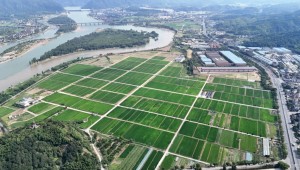 屏幕種田、數(shù)據(jù)施肥，看托普如何助力桐廬繪就共富新畫(huà)卷